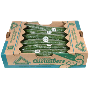 Large Seedless Cucumbers
