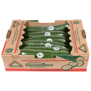 Medium Seedless Cucumbers