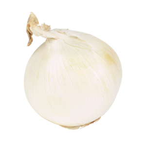 pickling-onions-leamington-ontario