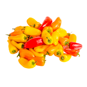 mini-sweet-peppers-red-orange-yellow