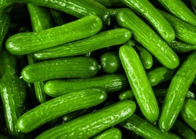 erie-james-fresh-cucumbers-client-satisfaction-wholesale-vegetables-leamington