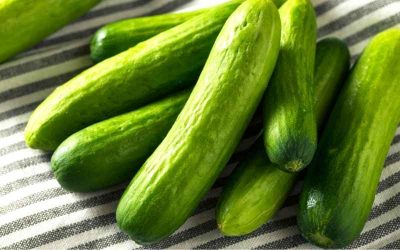Fun Facts About Greenhouse Cucumbers